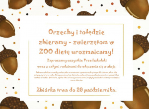 Orzechy i żołędzie zbieramy - zwierzętom w ZOO dietę urozmaicamy!