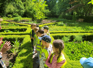 Wycieczka do Ogrodu Botanicznego UW w Łazienkach Królewskich