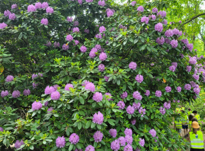 Wycieczka do Ogrodu Botanicznego w Powsinie