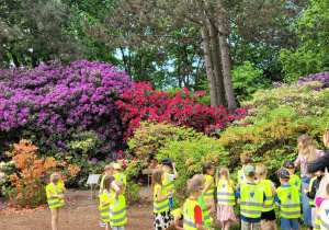 Ogród Botaniczny w Powsinie