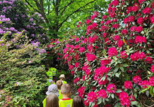 Ogród Botaniczny w Powsinie