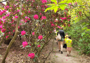 Ogród Botaniczny w Powsinie