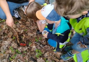 Wycieczka do Centrum Edukacji Przyrodniczo-Leśnej Lasów Miejskich