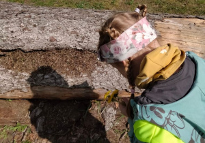 Wycieczka do Centrum Edukacji Przyrodniczo-Leśnej Lasów Miejskich