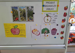 Projekt badawczy jabłko