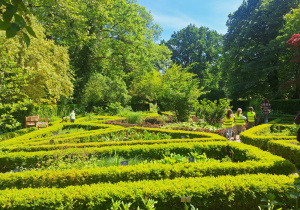 Ogród Botaniczny Uniwersytetu Warszawskiego